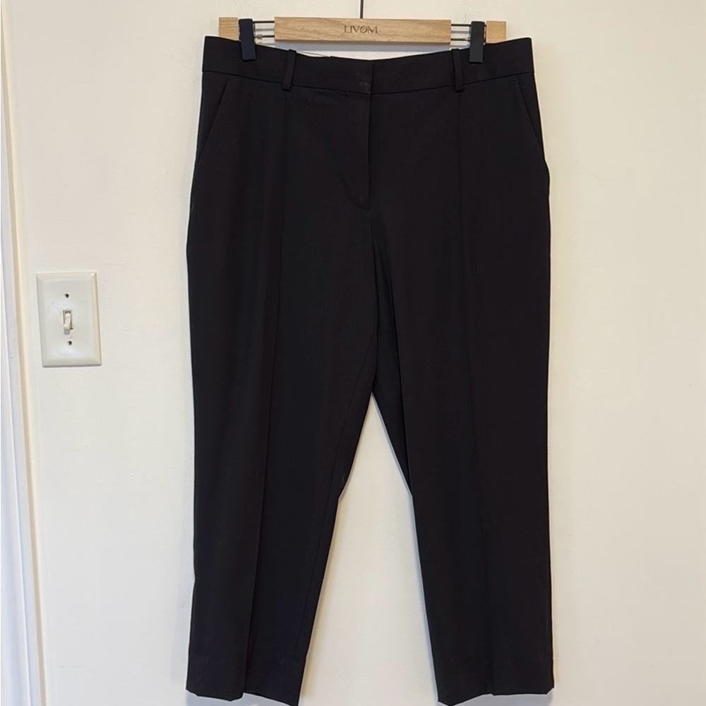 Everlane 100% wool pinch pleat cropped dress pants, sz 6